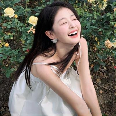 完美的独裁国家